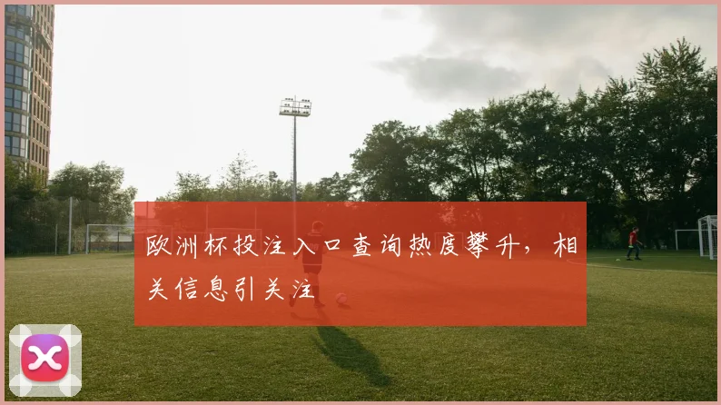 欧洲杯投注入口查询热度攀升,相关信息引关注
