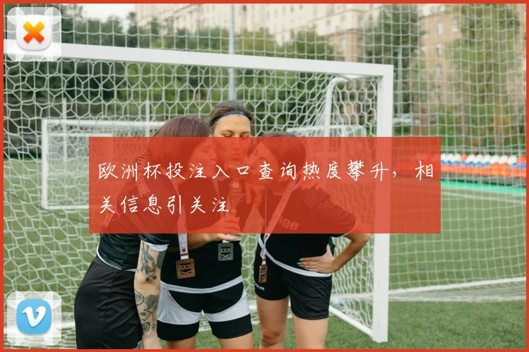欧洲杯投注入口查询热度攀升，相关信息引关注