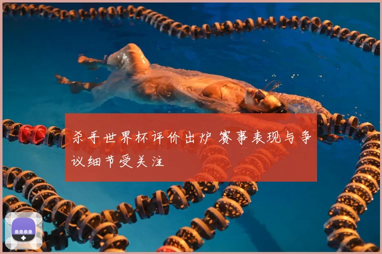 杀手世界杯评价出炉 赛事表现与争议细节受关注