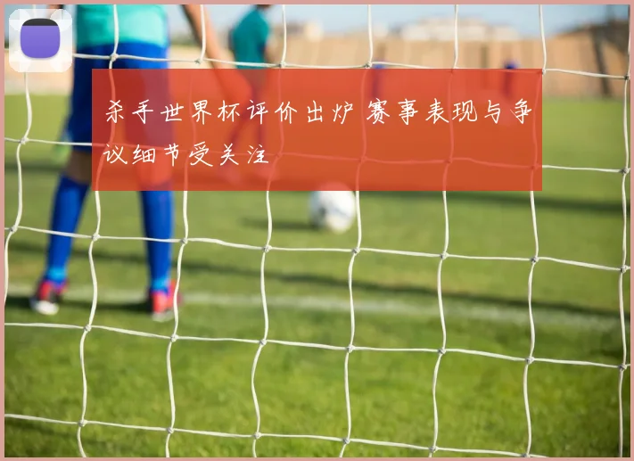 杀手世界杯评价出炉 赛事表现与争议细节受关注