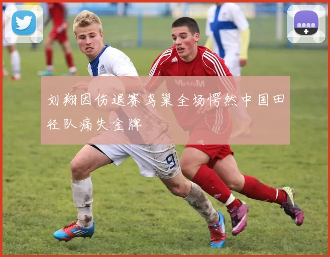刘翔因伤退赛鸟巢全场愕然中国田径队痛失金牌