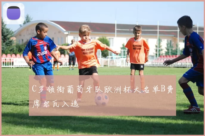 C罗领衔葡萄牙队欧洲杯大名单B费席尔瓦入选