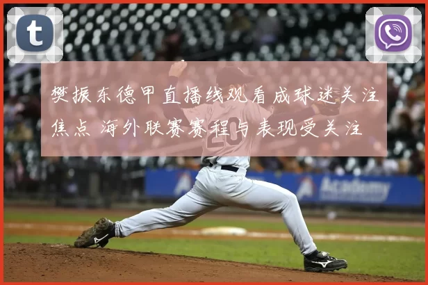 樊振东德甲直播线观看成球迷关注焦点 海外联赛赛程与表现受关注