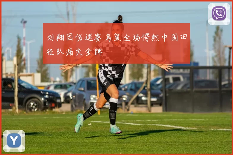 刘翔因伤退赛鸟巢全场愕然中国田径队痛失金牌