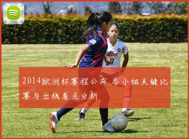 2014欧洲杯赛程公布 各小组关键比赛与出线看点分析