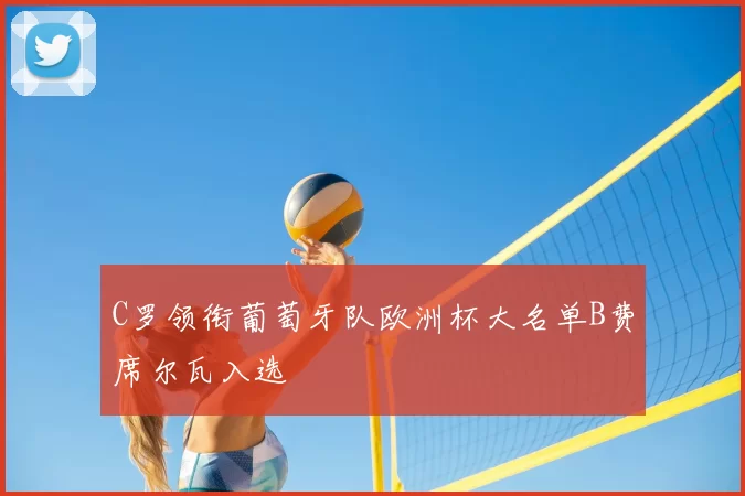 C罗领衔葡萄牙队欧洲杯大名单B费席尔瓦入选