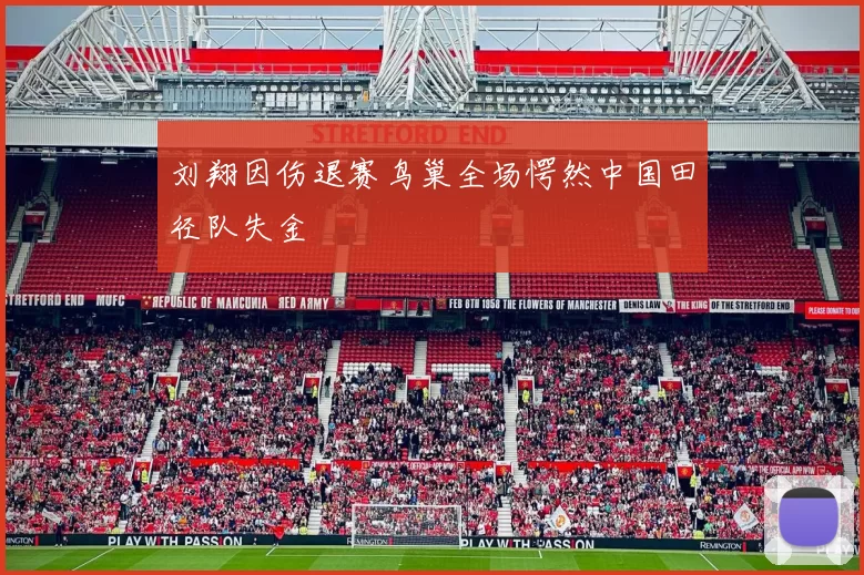 刘翔因伤退赛鸟巢全场愕然中国田径队失金